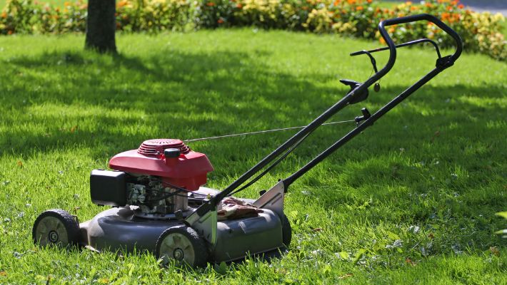 Best Lawn Mower Under $350