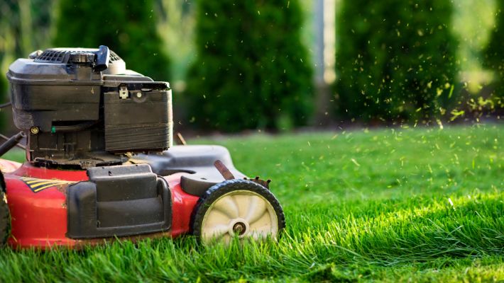 How Often Should You Mow Your Lawn In The Summer?