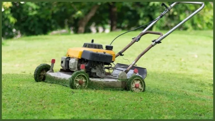 Best Lawn Mower For Older Lady