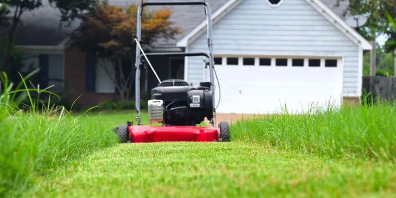 Best Lawn Mower For Stripes
